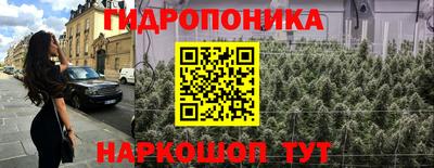 эйфоретик Краснодар