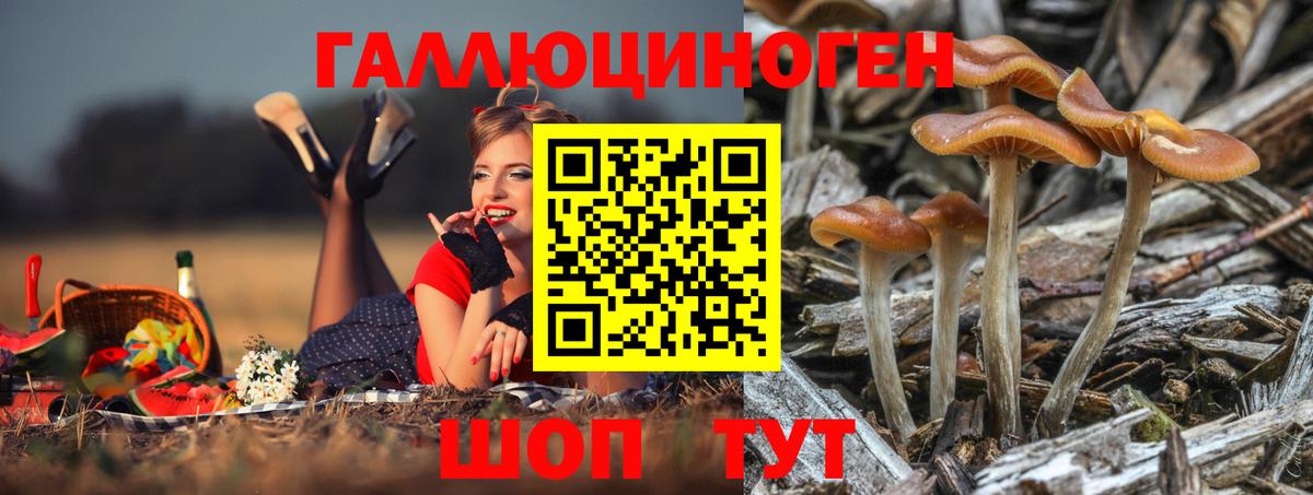 Кирово-Чепецк  Псилоцибиновые грибы мицелий  Вход с VPN  Галлюциногенные грибы мицелий 