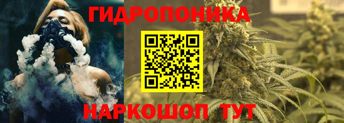 Кирово-Чепецк  Бошки марихуана план  Бошки Шишки MAZAR  Канабис Ganja  Вход с VPN 